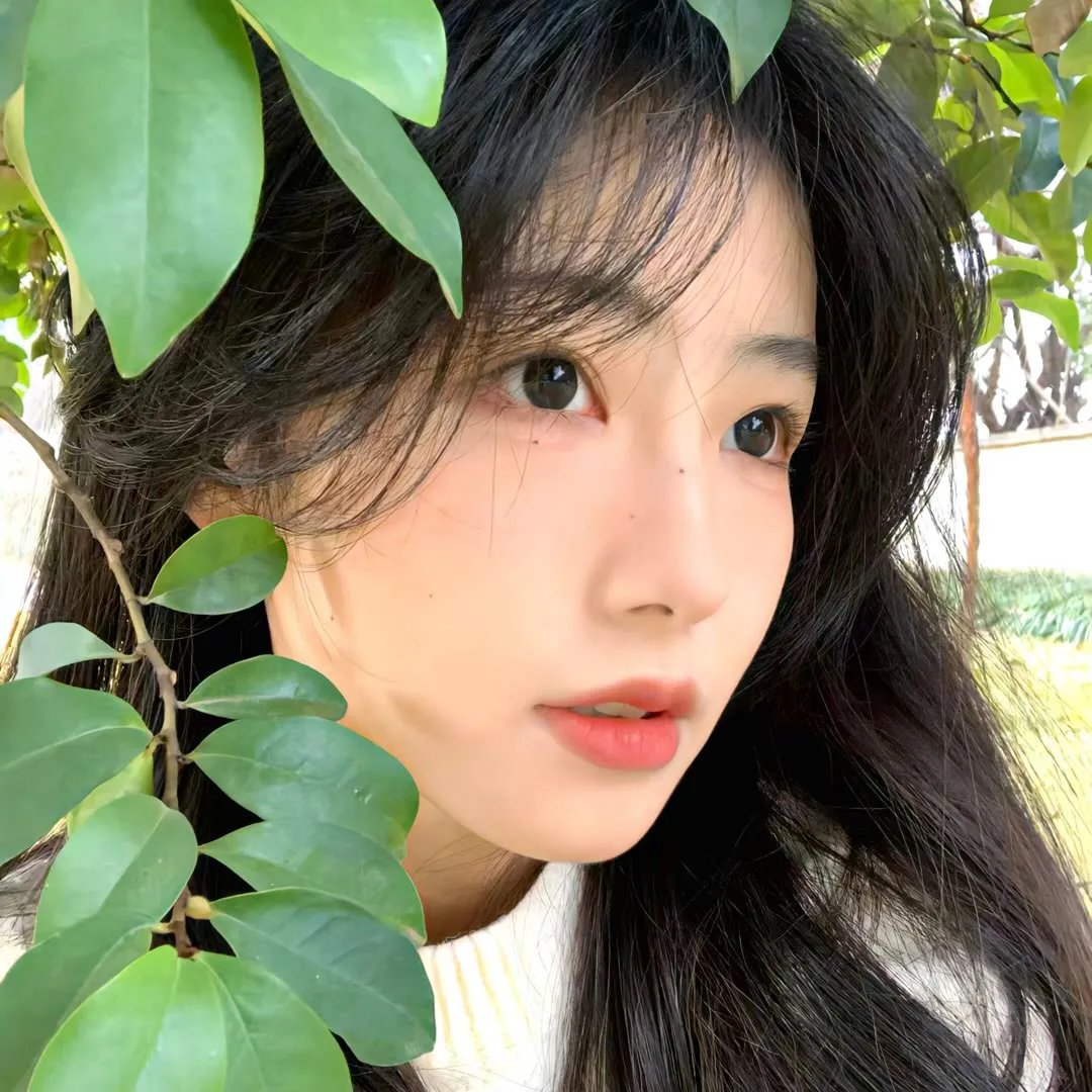 狐狸列那