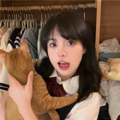 宅男腐女恋爱真难2020